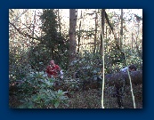 Go away, he's not here